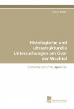 Histologische und ultrastrukturelle Untersuchungen am Ovar der Wachtel