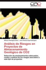 Analisis de Riesgos en Proyectos de Almacenamiento Geologico de CO2