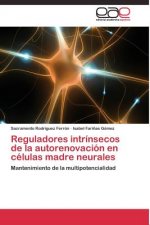 Reguladores intrinsecos de la autorenovacion en celulas madre neurales