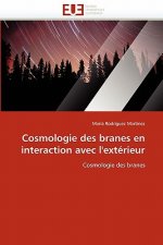 Cosmologie Des Branes En Interaction Avec l''ext rieur