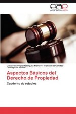 Aspectos Basicos del Derecho de Propiedad