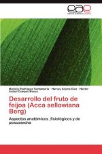 Desarrollo del Fruto de Feijoa (Acca Sellowiana Berg)