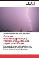 Campos Electromagneticos y Voltajes Inducidos Por Rayos En Edificios