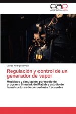 Regulacion y Control de Un Generador de Vapor