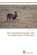 Superkonzeption des Europaischen Feldhasen