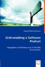 Grid-enabling a Software Product - Integration of Grid Resources in the RCE Environment