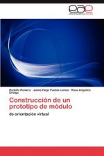 Construccion de un prototipo de modulo