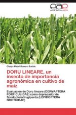 Doru Lineare, Un Insecto de Importancia Agronomica En Cultivo de Maiz