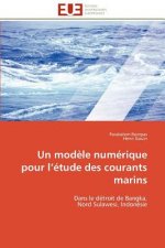 Un Mod le Num rique Pour L  tude Des Courants Marins