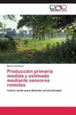 Producción primaria medida y estimada mediante sensores remotos