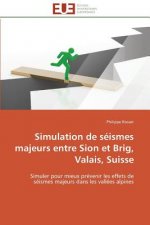 Simulation de S ismes Majeurs Entre Sion Et Brig, Valais, Suisse