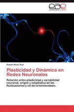 Plasticidad y Dinamica En Redes Neuronales