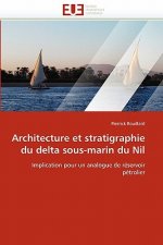 Architecture Et Stratigraphie Du Delta Sous-Marin Du Nil