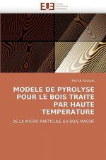 Modele de Pyrolyse Pour Le Bois Traite Par Haute Temperature