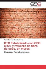 BTC Estabilizado con CPO al 6% y refuerzo de fibra de coco, en muros