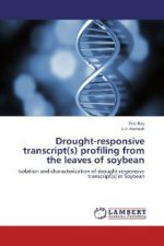 Drought-responsive transcript(s) profiling from the leaves of soybean
