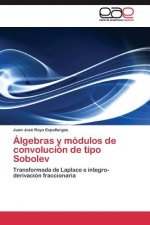 Algebras y modulos de convolucion de tipo Sobolev
