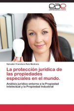 proteccion juridica de las propiedades especiales en el mundo.