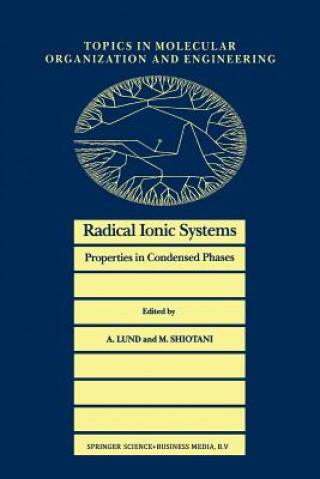 Radical Ionic Systems