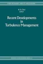 Recent Developments in Turbulence Management