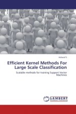 Efficient Kernel Methods For Large Scale Classification