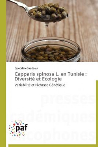 Capparis Spinosa L. En Tunisie