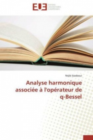 Analyse harmonique associée à l'opérateur de q-Bessel