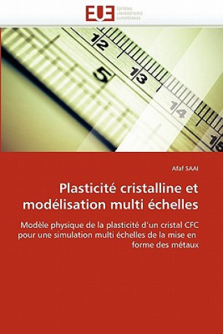 Plasticit  Cristalline Et Mod lisation Multi  chelles