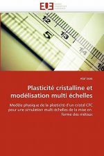 Plasticit  Cristalline Et Mod lisation Multi  chelles