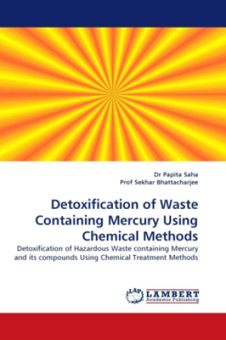 Detoxification of Waste Containing Mercury Using Chemical Methods