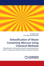 Detoxification of Waste Containing Mercury Using Chemical Methods