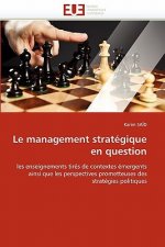 management strategique en question