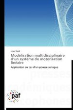 Modelisation Multidisciplinaire D Un Systeme de Motorisation Lineaire