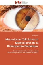 Mecanismes cellulaires et moleculaires de la retinopathie diabetique