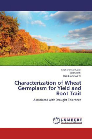 Characterization of Wheat Germplasm for Yield and Root Trait