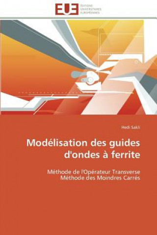 Mod lisation Des Guides d'Ondes   Ferrite