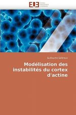 Mod lisation Des Instabilit s Du Cortex d''actine