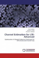 Channel Estimation for LTE-Advanced