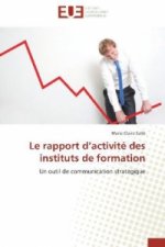 Le rapport d activité des instituts de formation