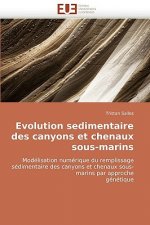 Evolution Sedimentaire Des Canyons Et Chenaux Sous-Marins