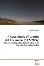 Case Study of Laguna del Encanado (33 DegreesS/70 DegreesW)