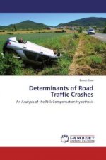 Determinants of Road Traffic Crashes