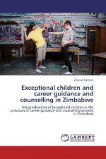 Exceptional children and career guidance and counselling in Zimbabwe