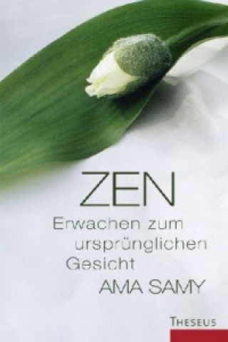 Zen Erwachen zum ursprünglichen Gesicht