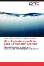 Hidrologia de superficie para un humedal costero