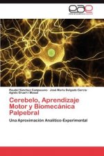 Cerebelo, Aprendizaje Motor y Biomecanica Palpebral