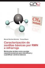 Caracterizacion de zeolitas basicas por RMN e infrarrojo