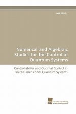Numerical and Algebraic Studies for the Control of Quantum Systems