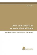 Ants and Spiders in Grassland Food Webs