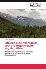 Influencia de micrositios sobre la regeneración vegetal, Chile